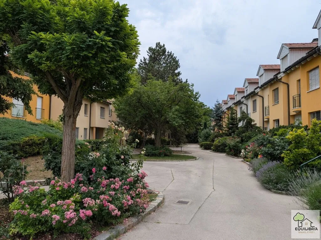 Wohnung – Kritzendorf - Ansicht 3