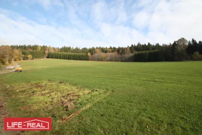 Grundstück kaufen in Rohrbach – 33 898 m², € 191.000 – Bild 5 von 6