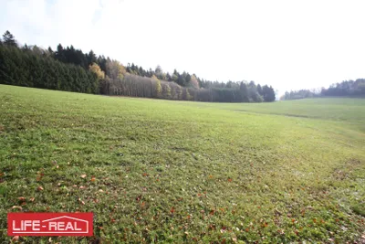 Grundstück kaufen in Rohrbach – 33 898 m², € 191.000 – Bild 2 von 6