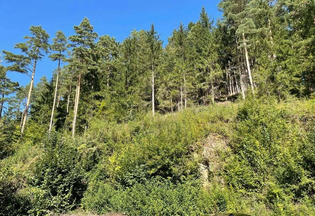 Baugrundstück mit Traumaussicht - Ansicht 2