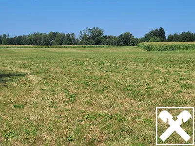 Immobilie kaufen in Ried im Innkreis – 197 m² – Bild 2 von 18