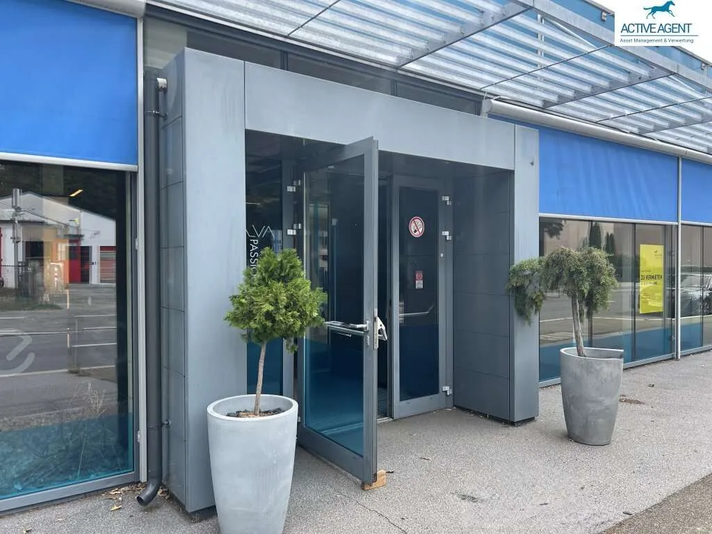 Attraktives Geschäftslokal +500 m² / Showroom/ mit Parkplätzen im Gewerbegebiet Graz Mitte zu vermieten! - Ansicht 3