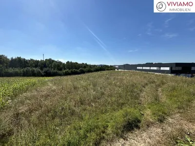 Immobilie kaufen in Wels-Land – 4 237 m², € 160 – Bild 4 von 6