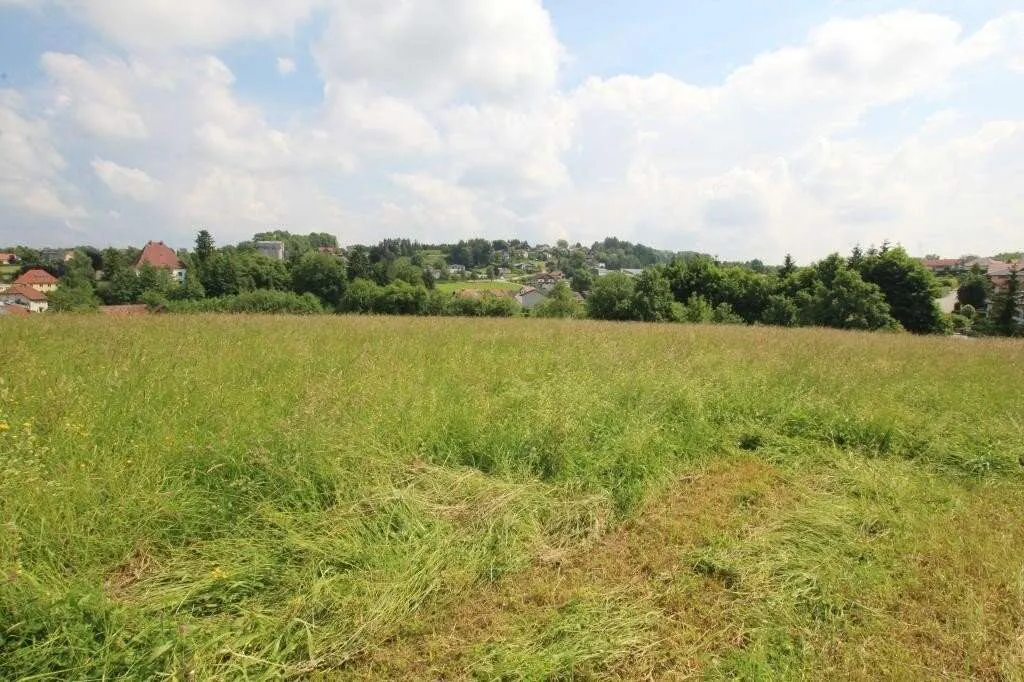 1227 m² Grundstück in einer ruhigen Siedlung in 4760 Raab zu kaufen - Ansicht 2