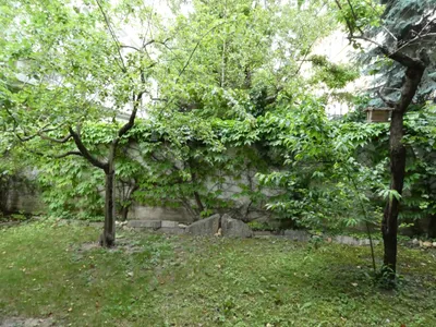 Ruhige 2-Zimmer-Gartenwohnung in 1030 Wien | 67,70 m² mit rd. 80 m² Garten und Loggia INKL BK/ HEIZUNG – Bild 2