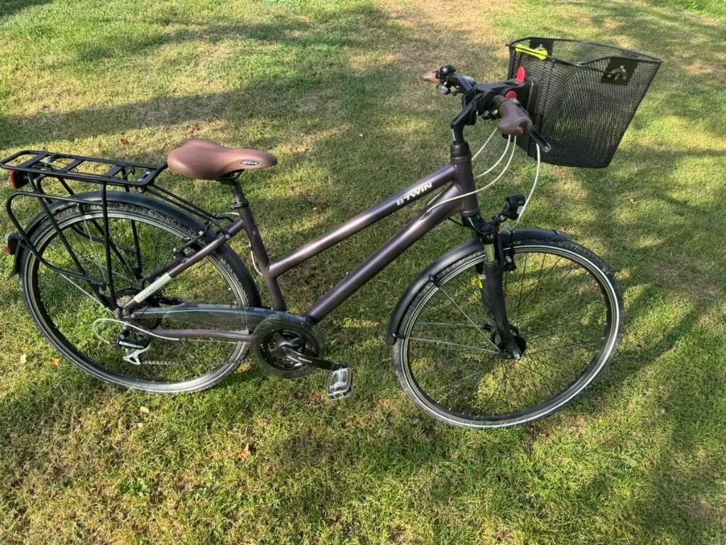 bosch e-bike display intuvia laden (BUI255) für System 2 anthrazit Stil:S Frischhaltedosen One of the biggest Muli - FamilyBikes Lastenräder
