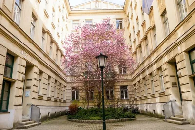 4-Zimmer-Wohnung mieten in Wien – 128 m², € 1.714 – Bild 1 von 12