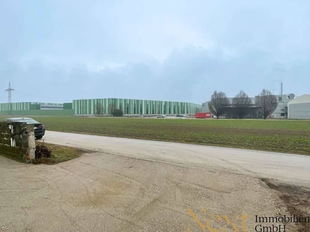 Grundstück samt Geräteschuppen und Garage im Ennshafen zu vermieten! - Ansicht 3