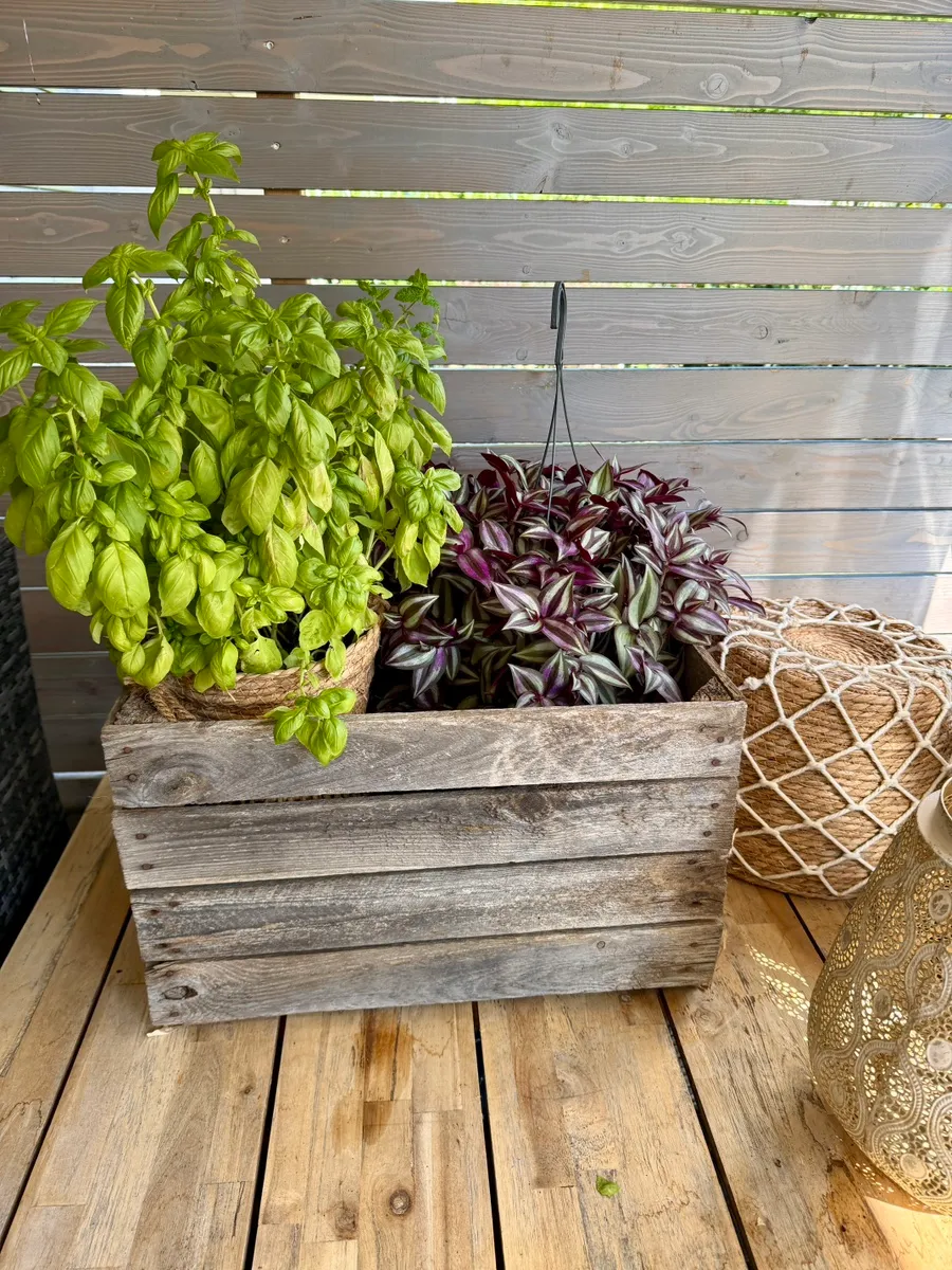 Schöne Deko Vintage Holz Kiste für Balkon , Garten , Terrasse und als Geschenk für Kräuter, € 20,- (9201 Krumpendorf)