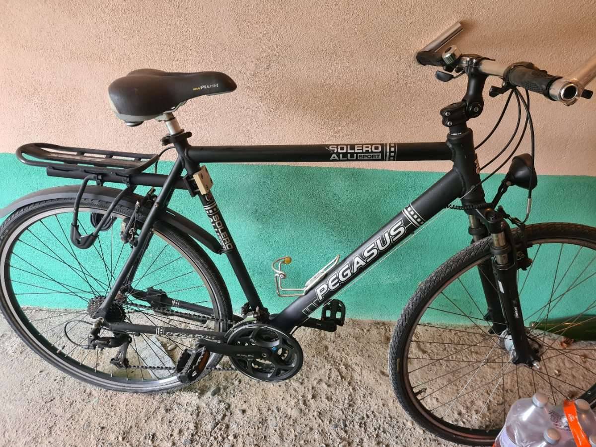 Fahrrad Pegasus kaufen - willhaben