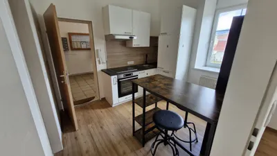1-Zimmer-Wohnung mieten in Murtal – 30,77 m², € 410 – Bild 2 von 10