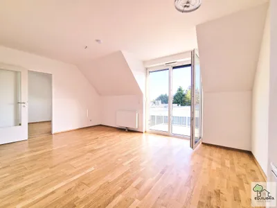 2-Zimmer-Wohnung mieten in Baden – 50 m²