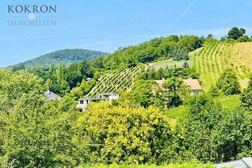 Großes, voll aufgeschlossenes Baugrundstück im Herzen von Grinzing - Ansicht 2