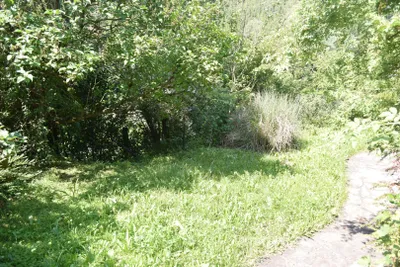 4-Zimmer-Haus kaufen in Waidhofen an der Ybbs – 120 m², € 295.000 – Bild 6 von 21