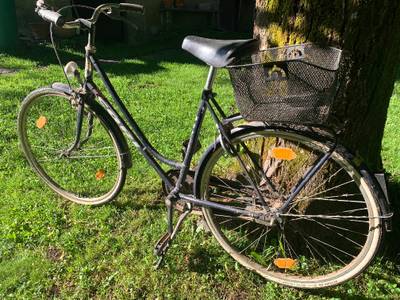 pegasus damen e-bikes Pegasus Premio Evo SUV 10 E-Bike 800Wh Damen 2026 main image 1
