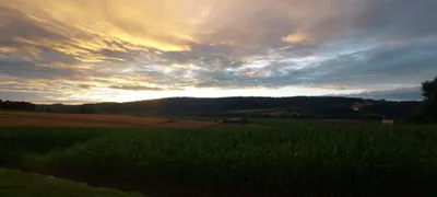 Immobilie kaufen in Leibnitz – 922 m², € 188.888 – Bild 7 von 67