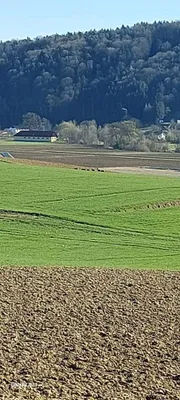 Immobilie kaufen in Leibnitz – 922 m², € 188.888 – Bild 62 von 67