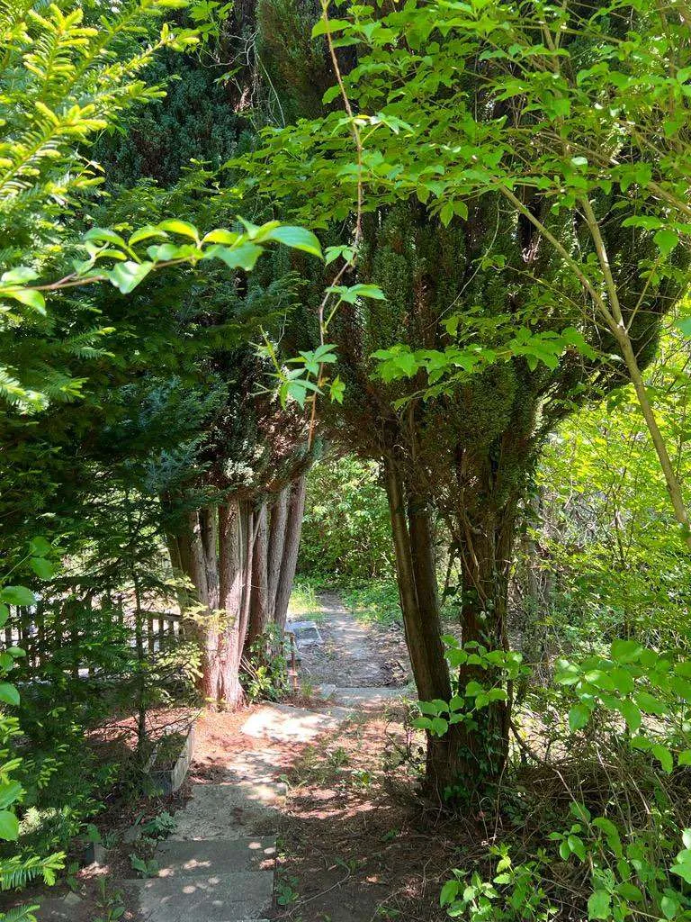 Baubewilligtes Baugrundstück in Weidling - Sonnig, Natur & Direkt vom Eigentümer - Ansicht 3