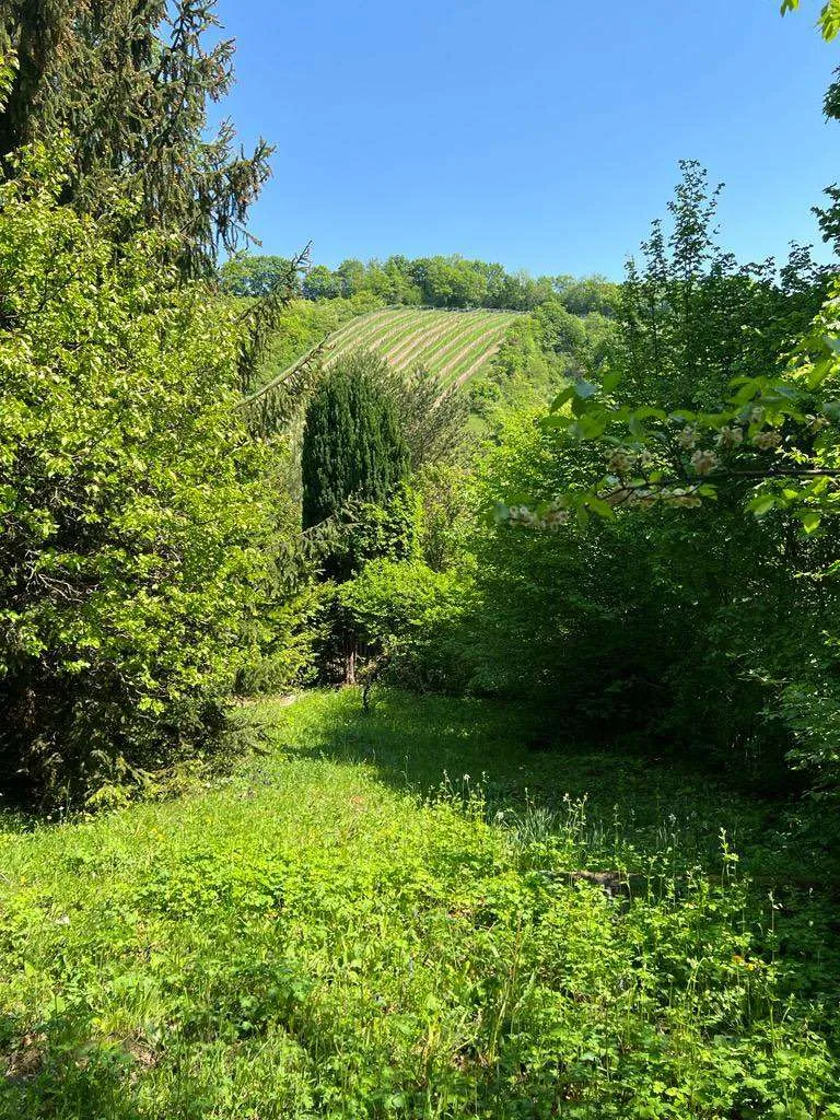 Baubewilligtes Baugrundstück in Weidling - Sonnig, Natur & Direkt vom Eigentümer