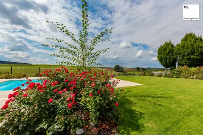 9-Zimmer-Immobilie kaufen in Steyr – 530 m², € 2.990.000 – Bild 10 von 14