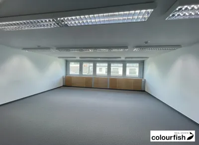 Gewerbeimmobilie mieten in Wien – 247 m², € 5.587 – Bild 4 von 5