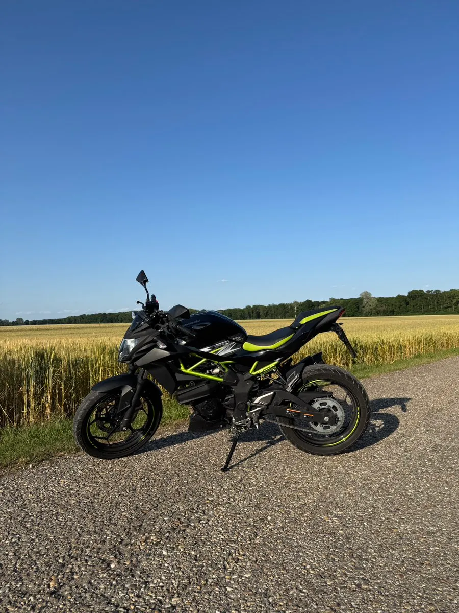 Kawasaki Z