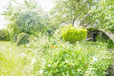 Immobilie kaufen in Sankt Pölten – 79,37 m², € 240.000 – Bild 30 von 32