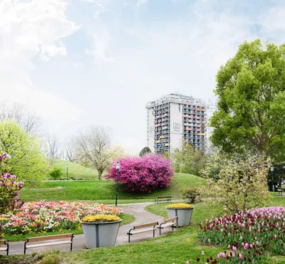 Gewerbeimmobilie mieten in Wien – 172 m², € 16 – Bild 1 von 3