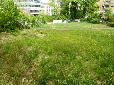 Grundstück kaufen in Graz – 1 430 m², € 776.000 – Bild 2 von 3