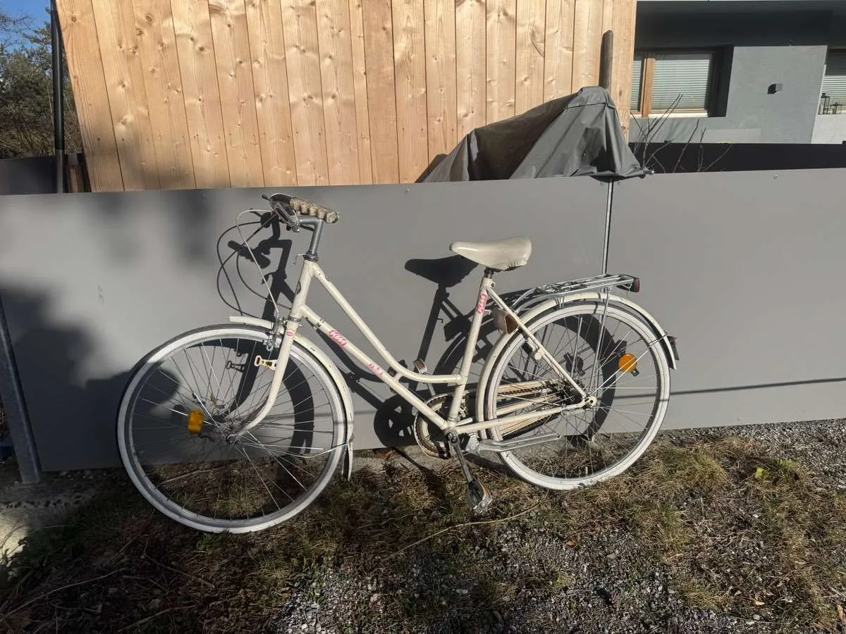trekking e-bike pegasus premio evo 10 lite COMFORT weiß | 500WH Cube e‑Bikes – German Wildvogelfutterhaus Farbe:DIRTY BLUE/BLACK - GLOSSY/MATT
