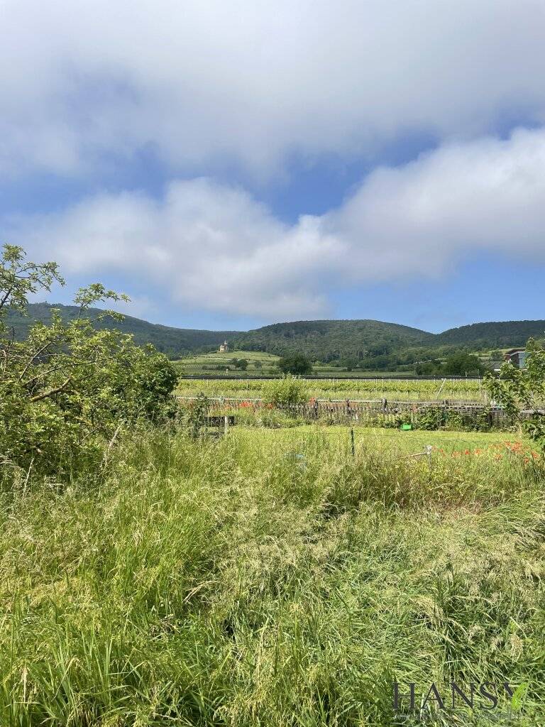 Großzügiges Baugrundstück 2059 m² in Sooß, Niederösterreich - Ihr Traum vom Eigenheim!, Sooß