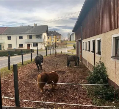 Immobilie kaufen in Urfahr-Umgebung – 240 m², € 790.000 – Bild 26 von 30