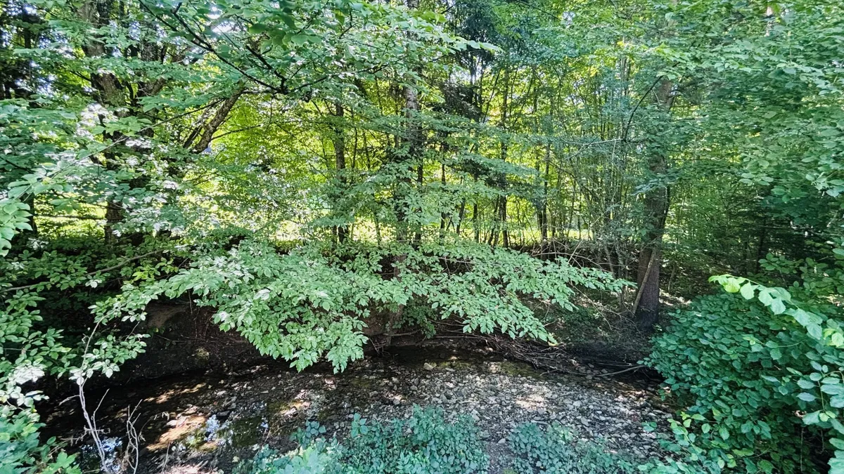 Am Bründlbach 1/4 - Widok 3
