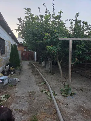 Immobilie kaufen in Bruck an der Leitha – 2 000 m², € 20.000 – Bild 11 von 11