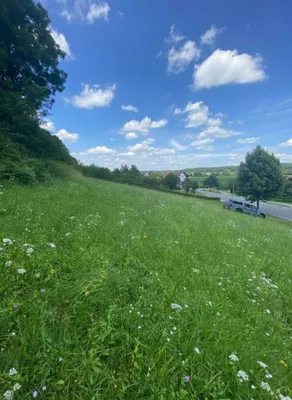 Grundstück kaufen in Hartberg-Fürstenfeld – 6 366 m², € 286.000 – Bild 4 von 5