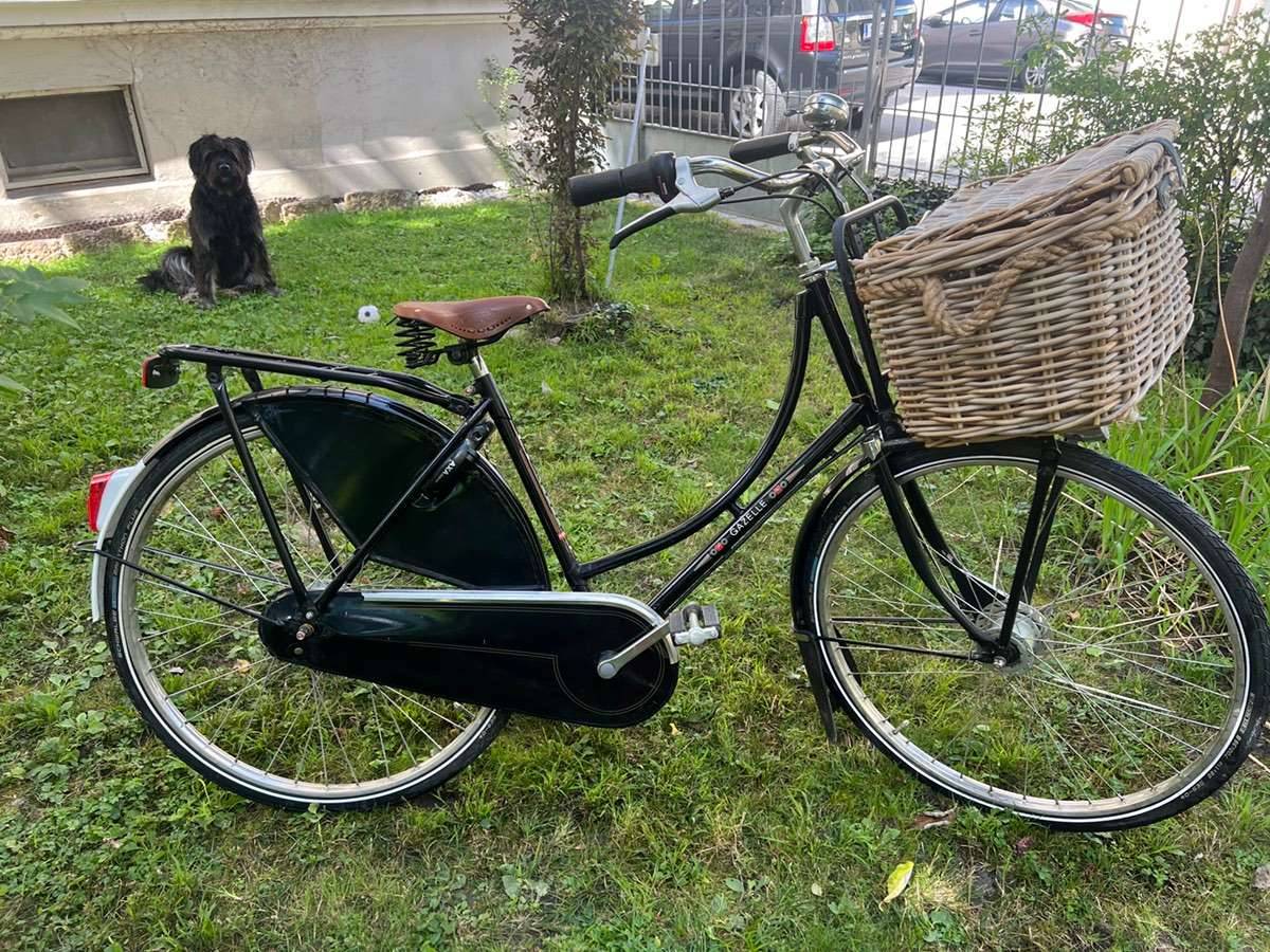 Gazelle Tour Populair 28 Zoll -8 Gang-Tiefeneinsteiger,  695,- (5020  Salzburg) - willhaben