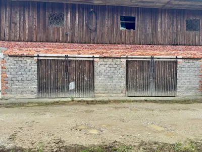 Immobilie mieten in Grieskirchen – 41 m², € 190 – Bild 1 von 5