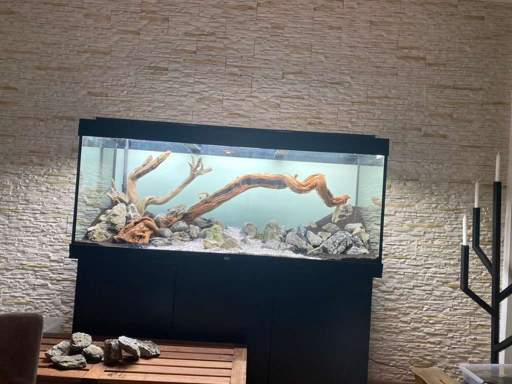 Aquarium 450 Liter 150x50x60 fashion gebraucht