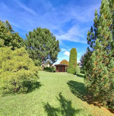 5-Zimmer-Haus kaufen in Baden – 116 m², € 780.000 – Bild 1 von 11