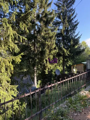3-Zimmer-Haus kaufen in Wien – 62,4 m², € 390.000 – Bild 4 von 22