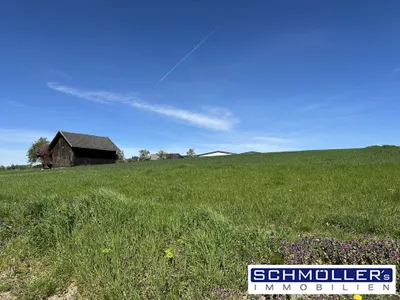 6-Zimmer-Haus mieten in Wels-Land – 190 m² – Bild 38 von 44