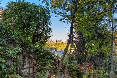 Grundstück kaufen in Mödling – 1 338 m², € 1.600.000 – Bild 4 von 10