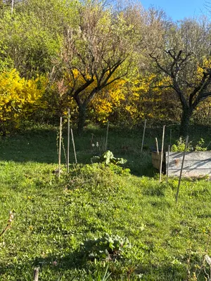 Grundstück kaufen in Tulln – 540 m², € 490.000 – Bild 7 von 7