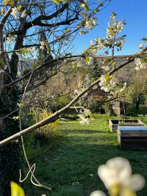 Grundstück kaufen in Tulln – 540 m², € 490.000 – Bild 1 von 7