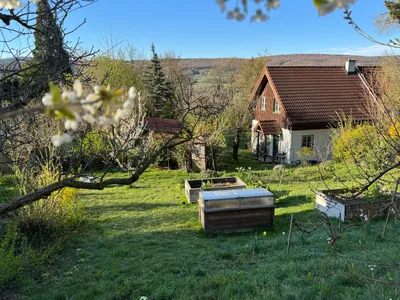 Grundstück kaufen in Tulln – 540 m², € 490.000 – Bild 4 von 7