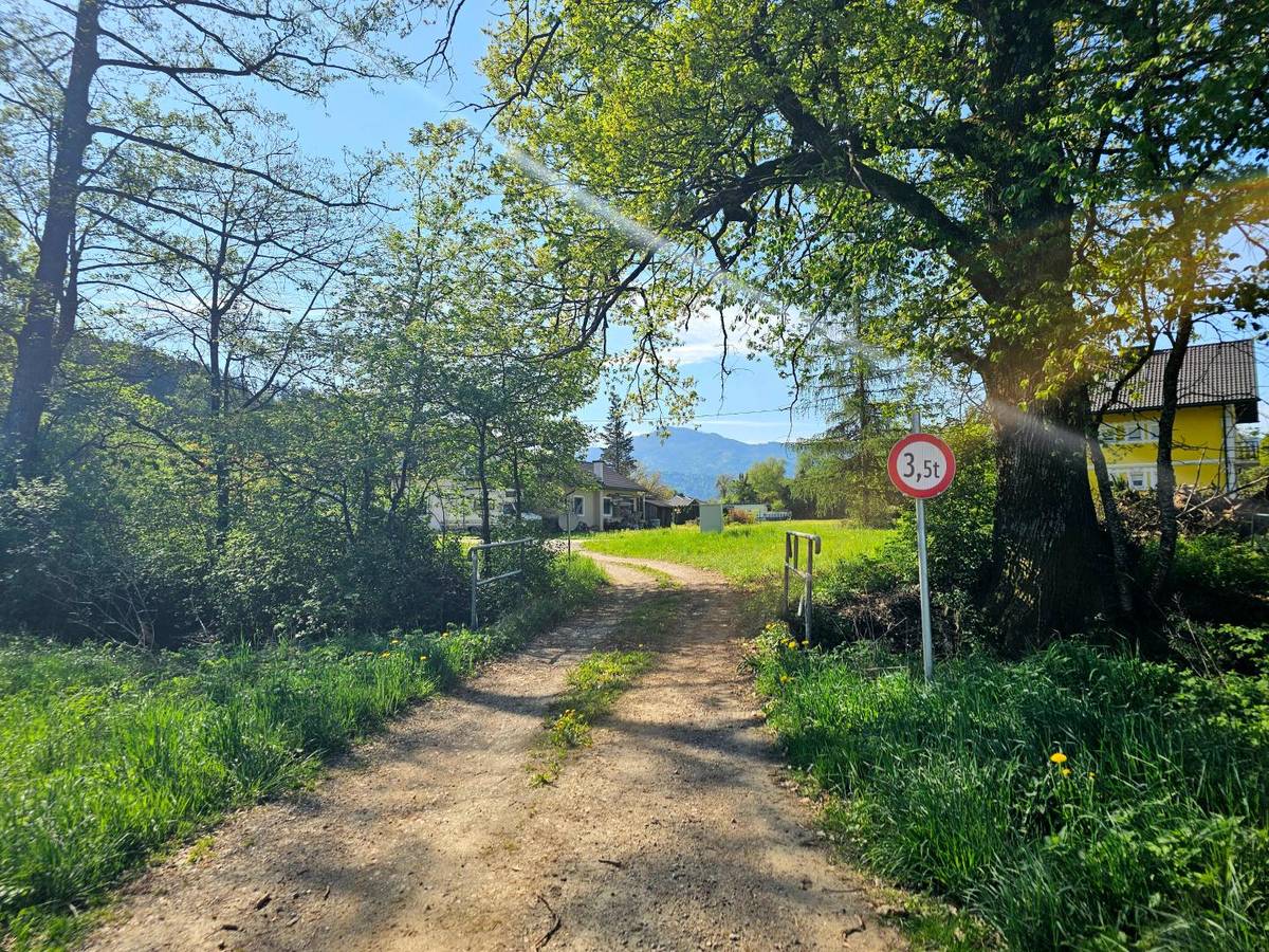 Sonniges, ebenes Baugrundstück in Eberndorf - Ansicht 2