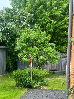 4-Zimmer-Haus kaufen in Vöcklabruck – 105 m², € 529.000 – Bild 8 von 23