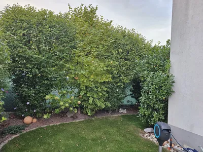 4-Zimmer-Haus kaufen in Korneuburg – 90 m², € 465.000 – Bild 24 von 26