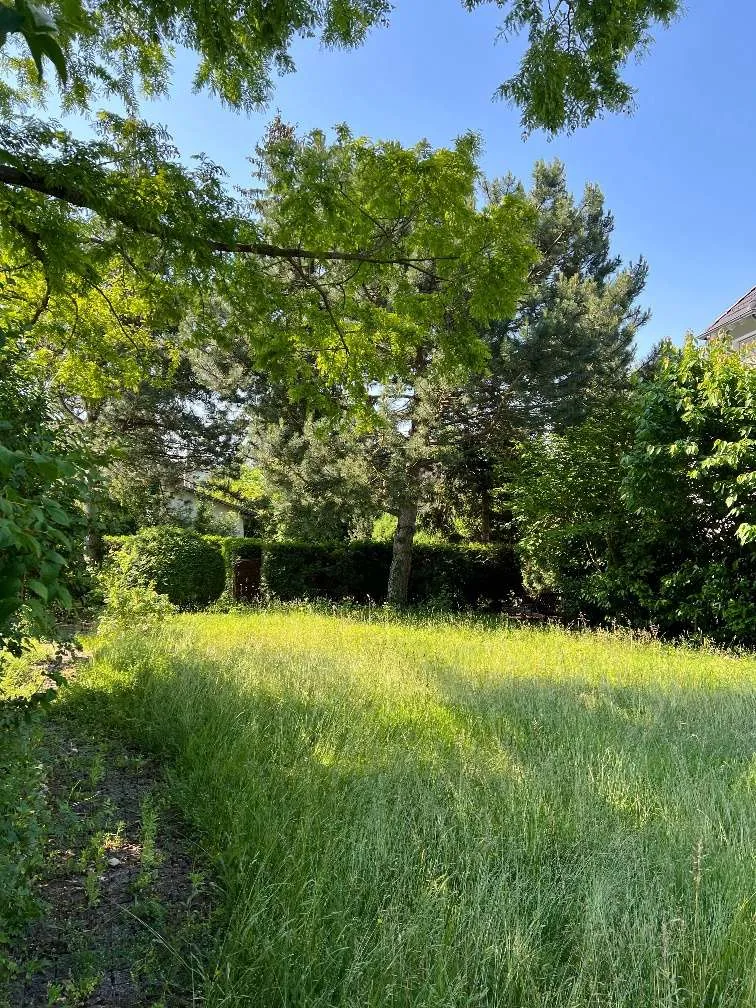 Sonniges Neubau-Grundstück mit kleinem Wohnhaus am Wolfersberg – pohled 3