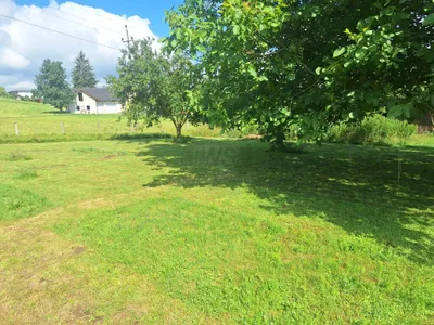 Gewerbeimmobilie kaufen in Schärding – 200 m², € 530.000 – Bild 5 von 27